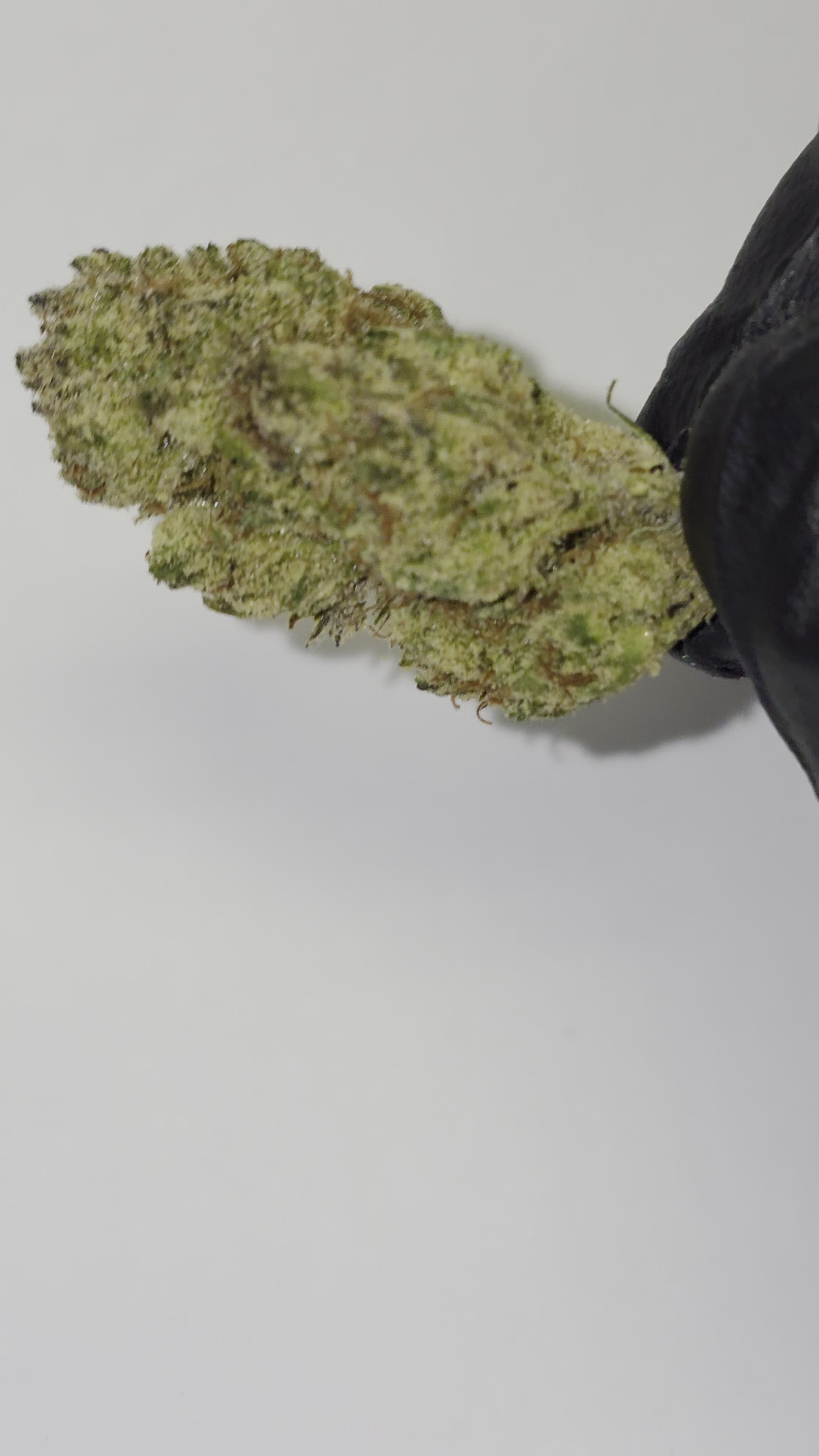 Banana Cream Cake THC Ounces