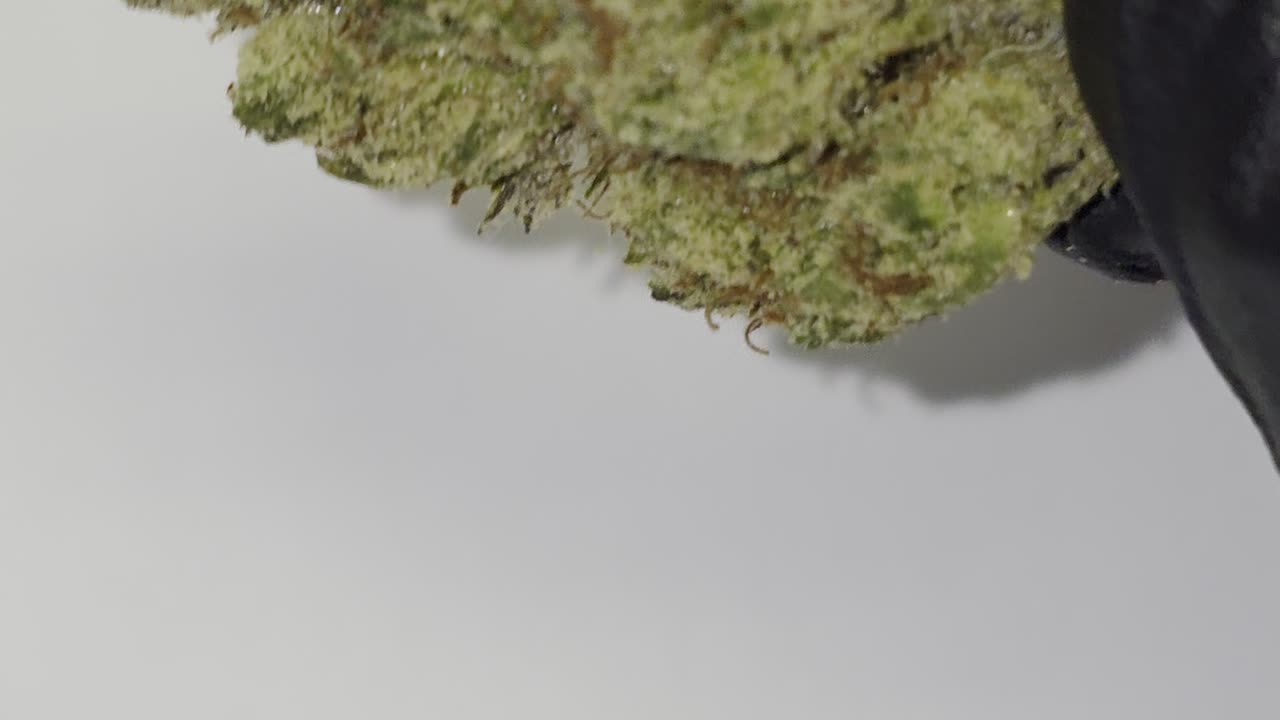 Banana Cream Cake THC Ounces