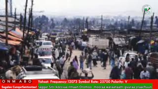 Oduu Galgala ONM-ABO Onkoloolessa 31-2025 itti dhiyaadhaa!