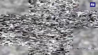 Precision Strikes on Ukrainian Targets by FPV Drone Units