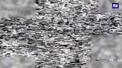 Precision Strikes on Ukrainian Targets by FPV Drone Units