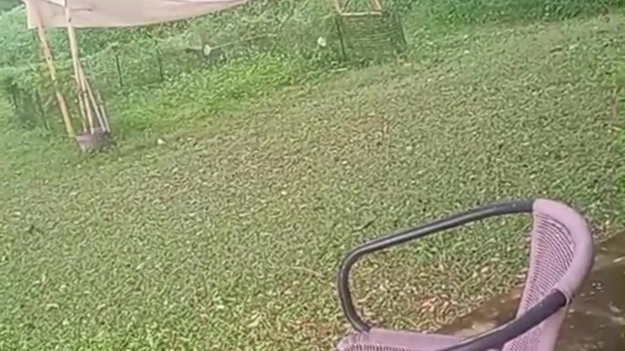 Gangstalking Helicopter Wake Up Sleep Deprivation