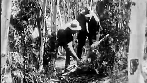 Cougar Chase: Predator Clash 1929