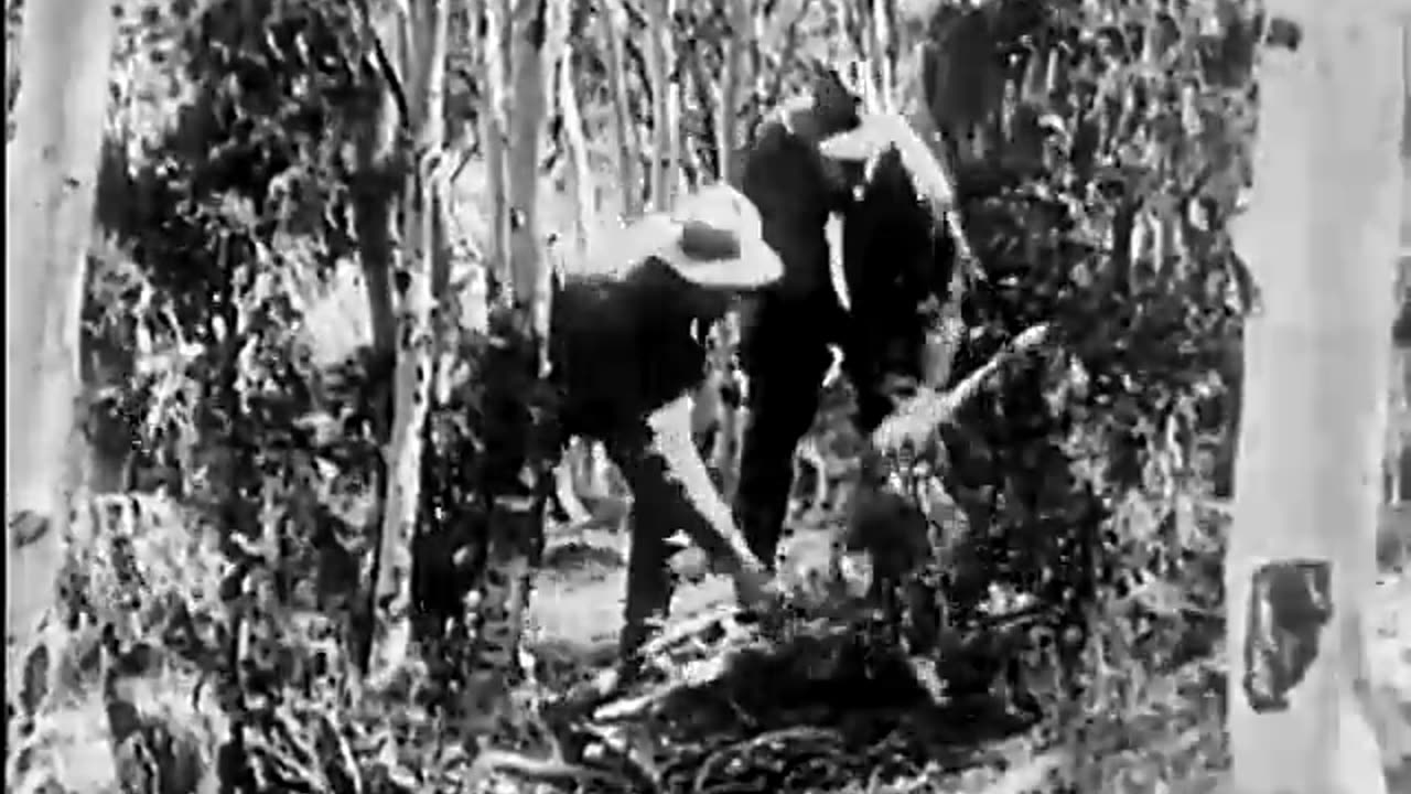 Cougar Chase: Predator Clash 1929