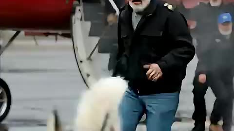 Animal warning to humans