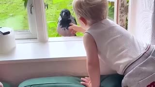 A rescued crow formed a beautiful friendship with his favorite boy