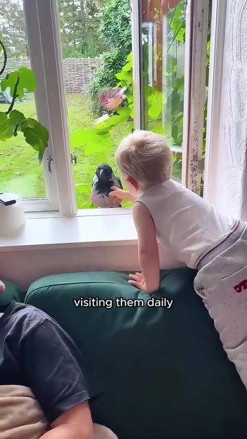 A rescued crow formed a beautiful friendship with his favorite boy