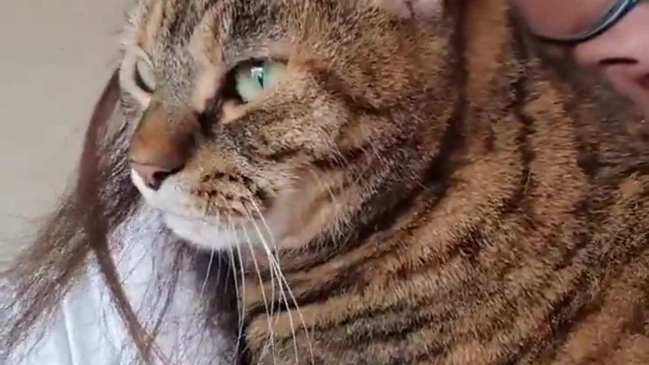 This is Mistys reaction after not seeing her human for 3 months.