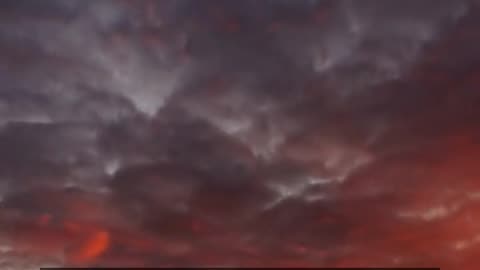 Daily Horoscope | Gemini 🌟