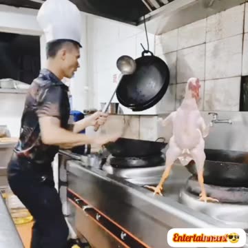 Trending🔥🔥 funny🤣🤣 comedy🤣🤣