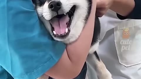 #FUNNY# TRY NOT TO LAUGH