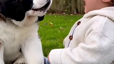Dog and baby, Cutest combination