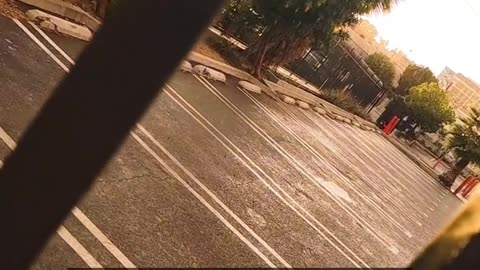 Daily Horoscope | Sagittarius 🌟