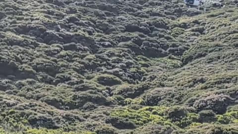 Marlborough Sounds Helicopter Travel