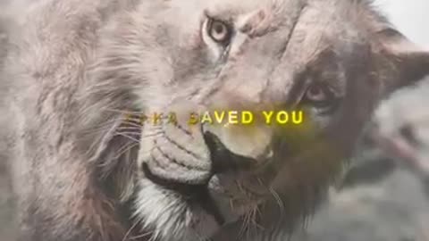 Mufasa saved Sarabi