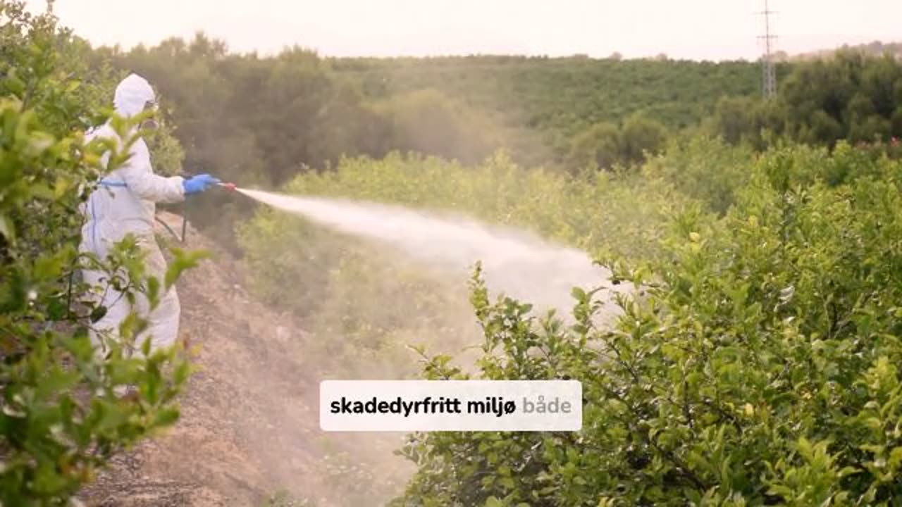 Pålitelige Mus Kontroll Eksperter Over Hele Norge