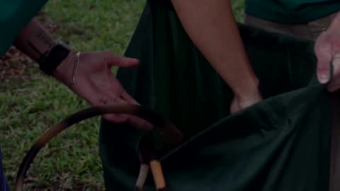 Stunned by the cold, Florida's iguanas fall from the trees