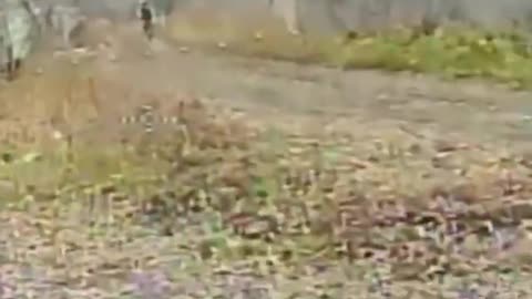 Ukraine war combat /related footage 11/16/2025