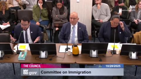 NYC Council Member Tiffany Cabn Wants 200 Million to Defend Illegal Immigrants From ICE