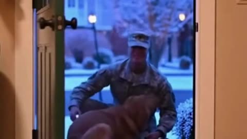 🐶🎄 My Dog Finally Saw Me on Christmas… His Reaction Made Me Cry ❤️❄️