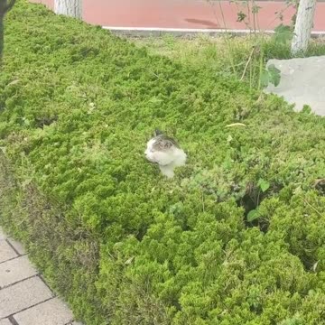 No one likes Mondays