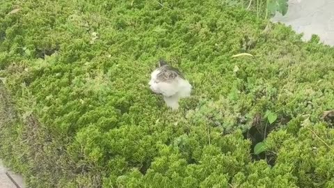 No one likes Mondays