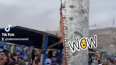 That's a big fish