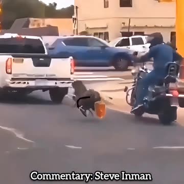 Mostly Peaceful Turkeys Protesting Thanksgiving