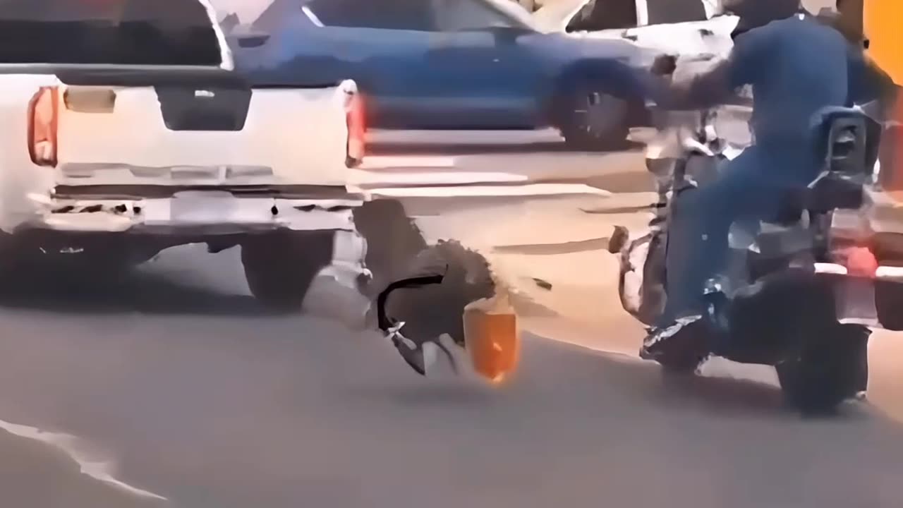 Mostly Peaceful Turkeys Protesting Thanksgiving