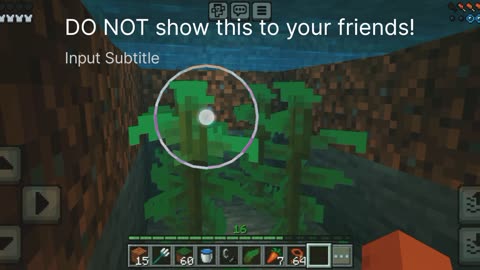 DO NOT show this to your friends! In Minecraft