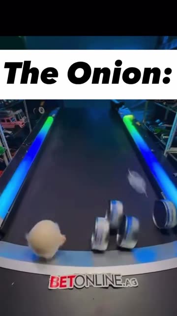 NEVER GIVE UP. #ONION