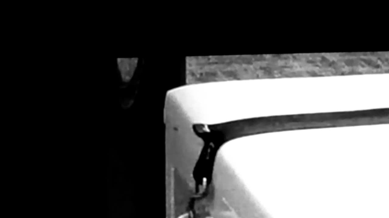 The firing squad execution in South Carolina was a success