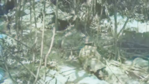 73 - Trenches of Dread - WW1 Inspired Trench Music - Colourized Footage