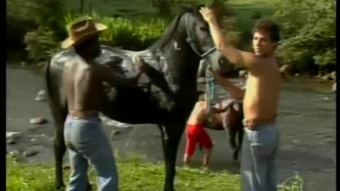 A História de Ana Raio e Zé Trovão cap 08