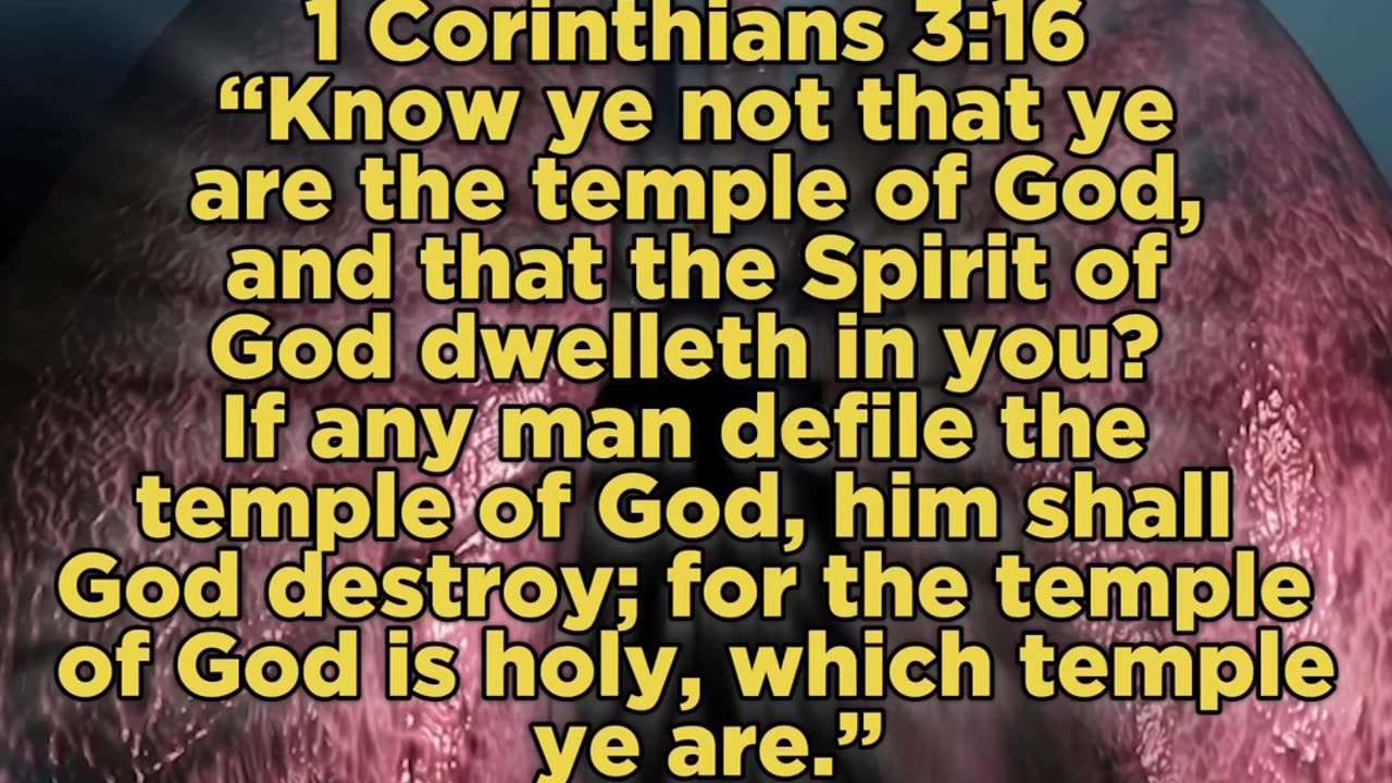 Your Body is your TEMPLE!