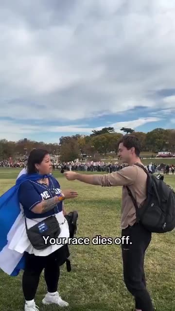 Great replacement explained