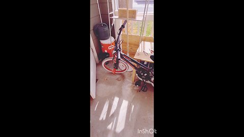 I broke my kids bike