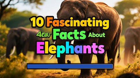 top 10 facts about elephants you did not know
