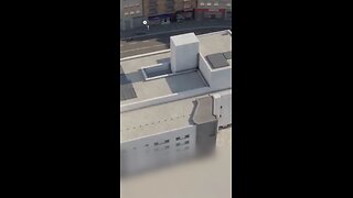 animations taken from video games, online assets