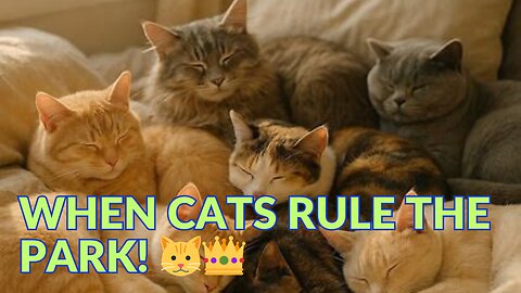 Group Cat Nap in the Park – Too Cute to Handle!"