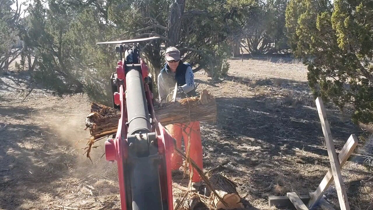 Saturday Chores: New Stihl Chainsaw