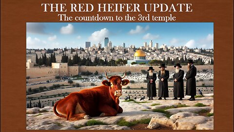 The Red Heifer Update, Countdown to the 3rd Temple - Mondo Gonzales