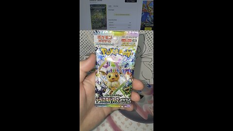 Pokemon Terastal Festival EX Pack Opening! #pokemon