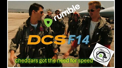 Holy SH*T we bought the F14 - First Flights And Hopefully Landings