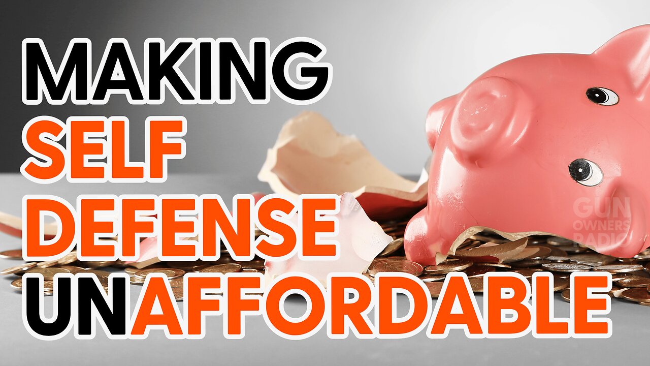 Can You Afford to Defend Yourself? AB 1187 Might Say No