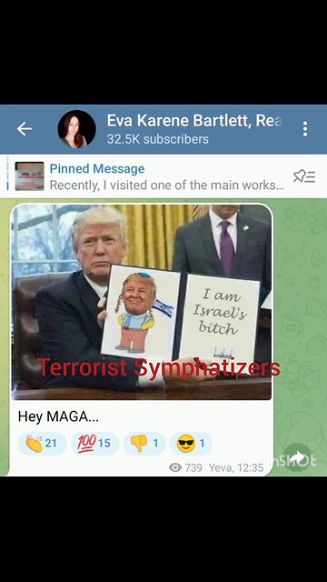 Terrorist symphatizers, subscribe to their Telegram channel and you will know them.