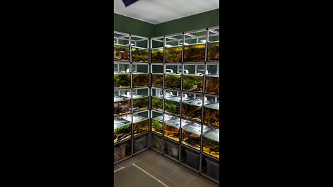 UNEXPECTED SPECIES 😮