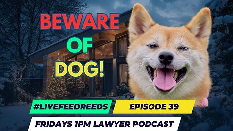 #LiveFeedReeds - Lawyer Podcast - Ep 39 My Dogs are Barking - LOOKOUT!