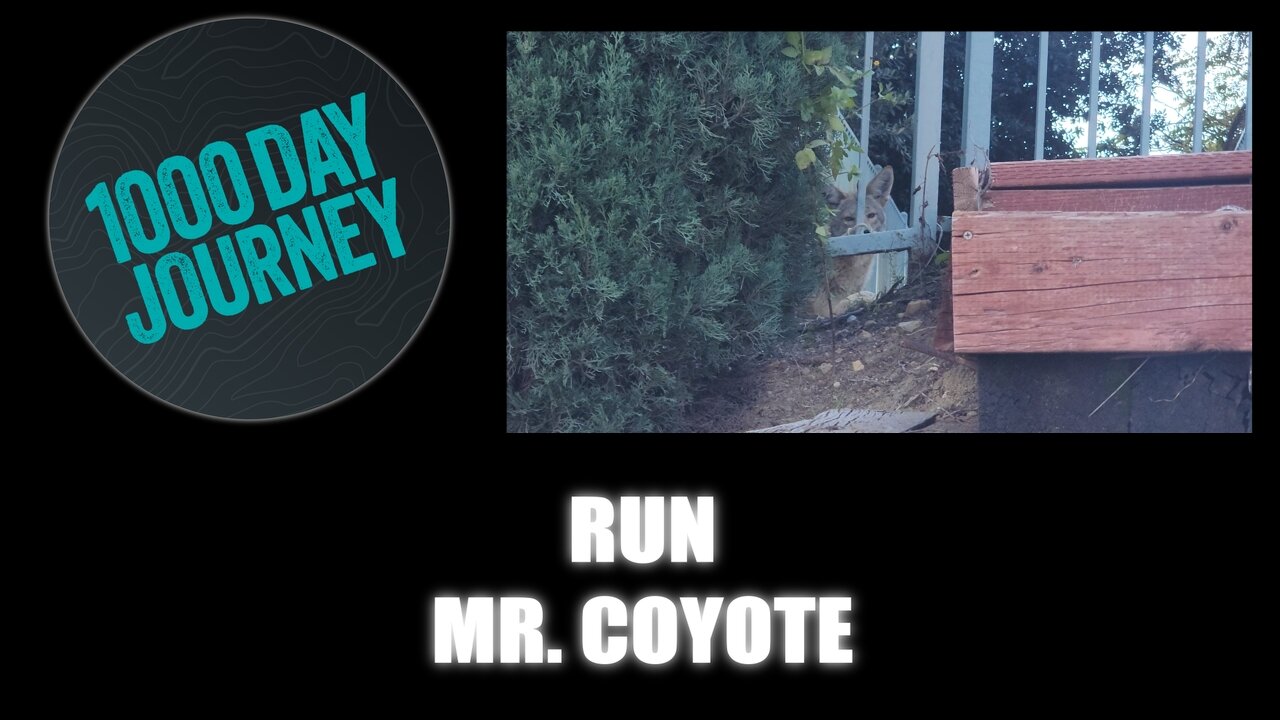 1000 Day Journey 0870 Run Mr. Coyote