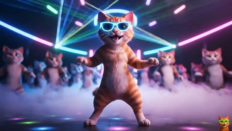 Funky Cat Groove: Electronic Pop Remix ft! 🐱🎶🐶